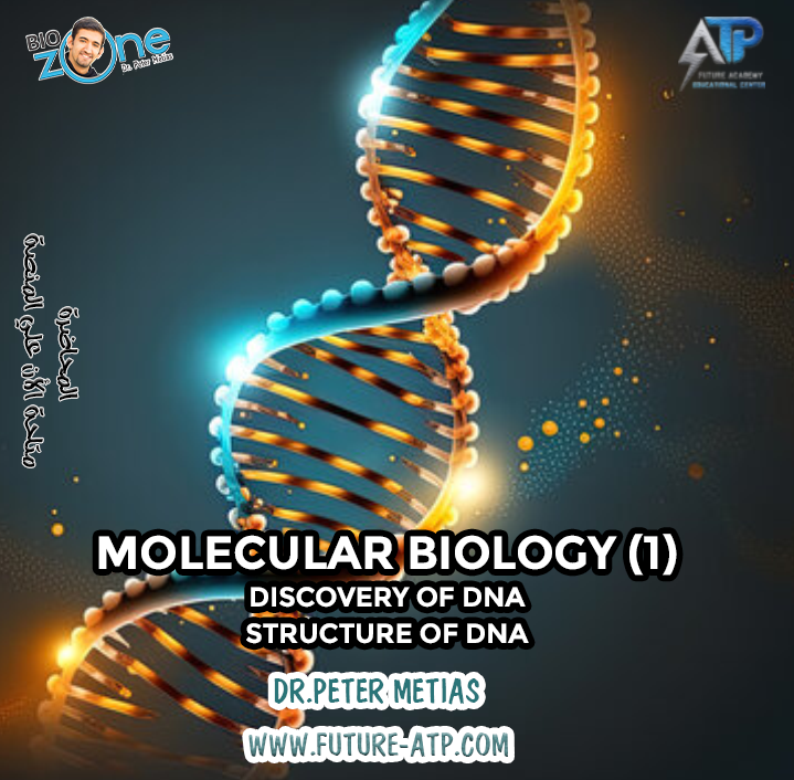 Molecular Biology